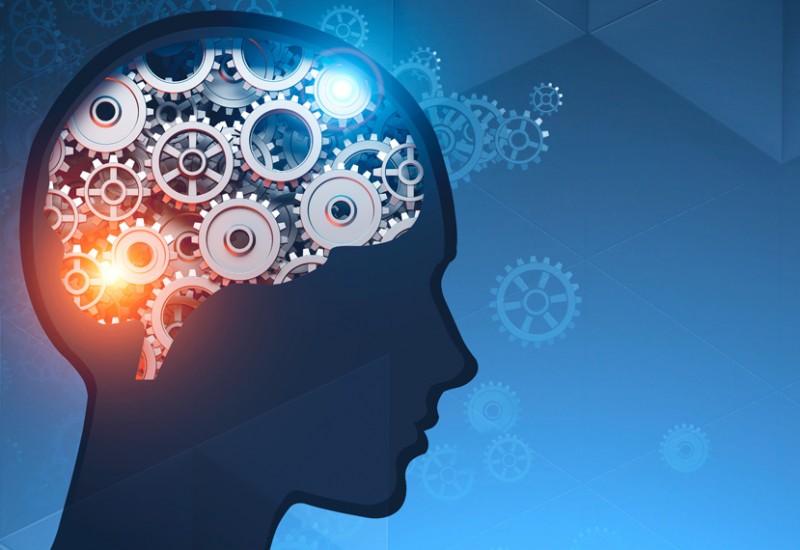 The Dilemma of High IQ